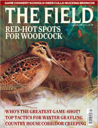 The Field Magazine article